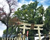 百舌鳥神社